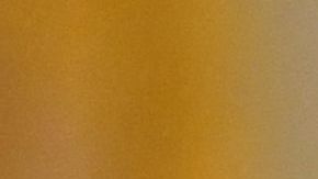 TOPSHOT-US-politics-government-pandemic-Covid-19