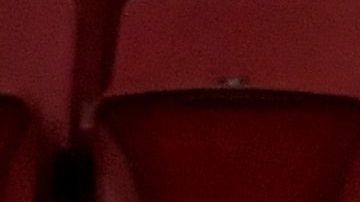 El argentino y el colombiano fueron la polémica de la tanda de penales en 2021.