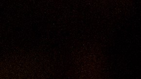 Agente del FBI dispara a un perro en filadelfia