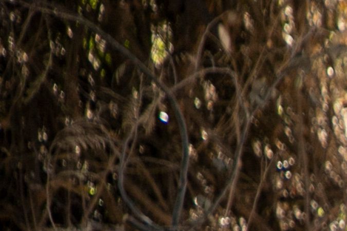 MEXICO-CRIME-VIOLENCE-CERVANTES-MURDER