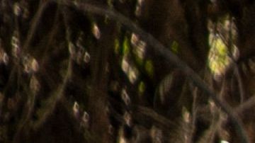 MEXICO-CRIME-VIOLENCE-CERVANTES-MURDER