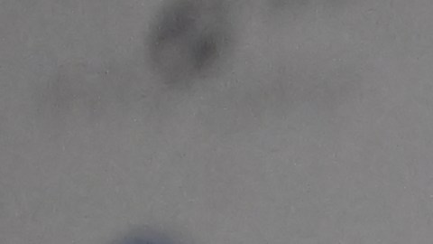 The President Of The United States Visits Poland