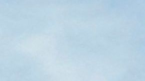 El capitán caminó por la aeronave antes de que la tripulación les comunicara a los pasajeros que realizarían un aterrizaje de emergencia.