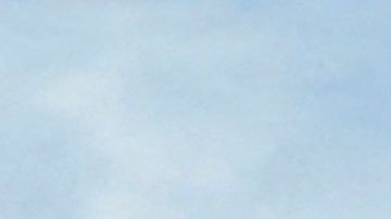 El capitán caminó por la aeronave antes de que la tripulación les comunicara a los pasajeros que realizarían un aterrizaje de emergencia.