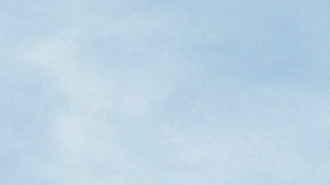 El capitán caminó por la aeronave antes de que la tripulación les comunicara a los pasajeros que realizarían un aterrizaje de emergencia.