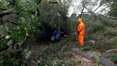 En el lugar del accidente aún se pueden ver las partes restantes del árbol caído sobre el vehículo.