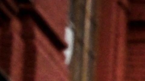 Alicia Day fue arrestada en la Plaza Roja de Moscú.