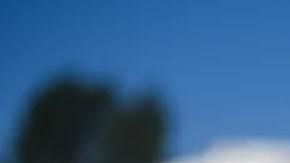 Las cifras de violencia escolar han subido.