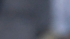 Riqui Puig jugará su segunda temporada en la MLS.