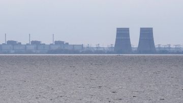 Planta de energía nuclear de Zaporizhzhia , la planta de energía nuclear más grande de Europa y actualmente en manos de las fuerzas de ocupación rusas / Referencial