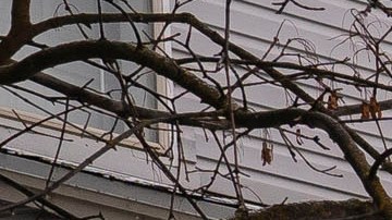 Suspect Arrested For The Murders Of Four University Of Idaho Students