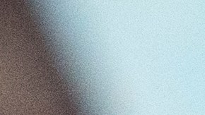 Pronostico Marmote Phil Pennsylvania