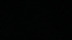 La Serie del Caribe arrancó el jueves 2 de febrero.