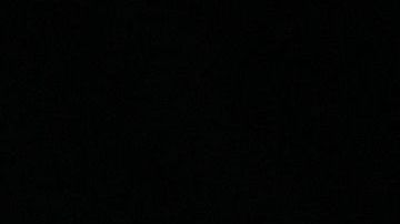 La Serie del Caribe arrancó el jueves 2 de febrero.