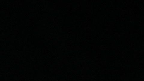 La Serie del Caribe arrancó el jueves 2 de febrero.
