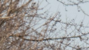 US-TRANSPORT-ACCIDENT-FIRE