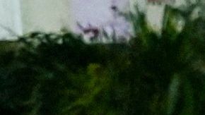 CUBA-TURKEY-SYRIA-QUAKE-AID