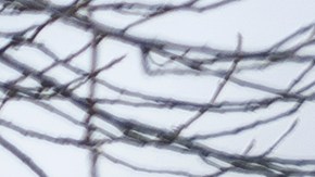 Un trabajador limpia el interior de un vagón de tren cerca del lugar del descarrilamiento el 16 de febrero de 2023 en East Palestine, Ohio.