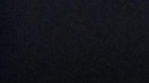 Vladimir Putin será asesinado por alguien de su círculo cercano, según Zelensky.