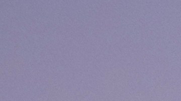 Rescatistas han estado trabajando durante días para sacar a personas y animales de los escombros.