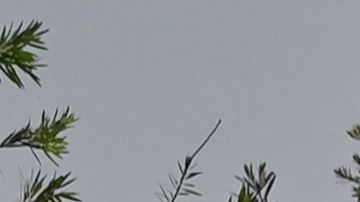 La reunión tuvo lugar durante el primer aniversario de la invasión rusa de Ucrania.