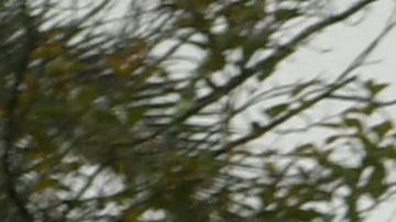 La policía municipal asegura un perímetro alrededor de la escuela secundaria Saint-Thomas.