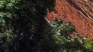 BRAZIL-WEATHER-RAIN-FLOOD-LANSLIDE