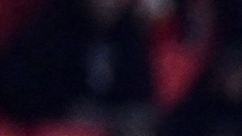 Dmitrović no sufrió daños pero instó a la seguridad de los clubes a prevenir este tipo de hechos.