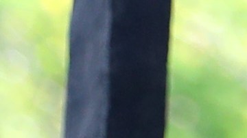 El hombre golpeó a un estudiante universitario en un ataque no provocado.