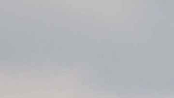 Canadá desplegó un avión de patrulla de largo alcance CP-140 Aurora de la Real Fuerza Aérea Canadiense.