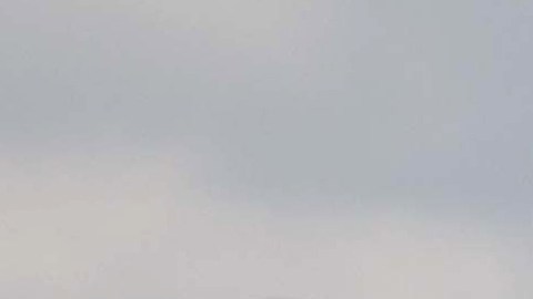 Canadá desplegó un avión de patrulla de largo alcance CP-140 Aurora de la Real Fuerza Aérea Canadiense.