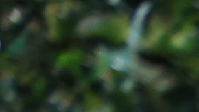 Falta menos de un mes para la boda de Lele Pons y Guaynaa.