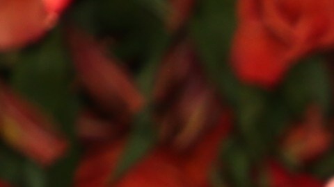 Clarissa Molina no ha dado más información sobre su boda con Vicente Saavedra.