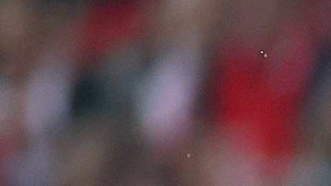 FC Union Berlin y RB Leipzig se enfrentarán el 11 de febrero por la Bundesliga.