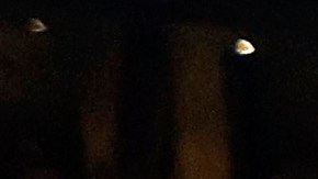 El gobernador Enrique Alfaro desea que las personas vulerables del estado puedan ver el comabte del Canelo.