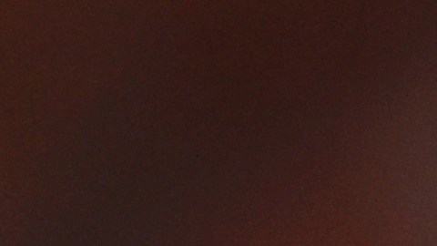 El francés viene de ser asistente técnico en la selección de Bélgica.