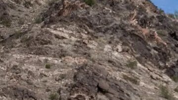 El Departamento de Seguridad Nacional (DHS) afirmó que se han realizado 128,410 detenciones en enero.