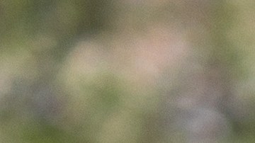 Entre los arrestados figuran dos dominicanos, un hondureño, un brasileño, un haitiano y un mexicano.