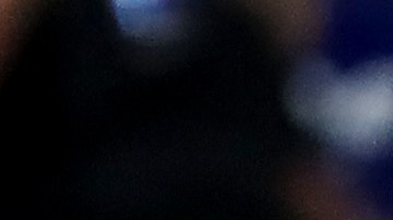 El equipo rendirá homenaje a los aficionados de todos los países que juegan beisbol.