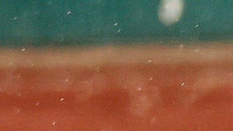 Juan Soto luego de conectar un jonrón ante St. Louis Cardinals.