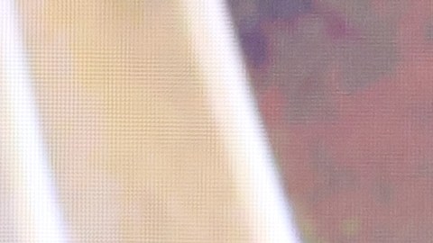 La cantante Chiquis Rivera hace pocos días vivió una situación incómoda que quedó grabada y le ha dado la vuelta al mundo.