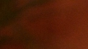 La peruana Leslie Shaw se encuentra envuelta en una polémica.