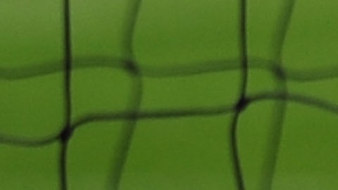 Tras el fallecimiento, familiares, amigos e hinchas se reunieron para rendirle un homenaje a Espeel.