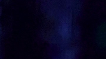 Lil Wayne compró esta mansión recién construida.