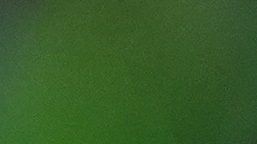 El Elche se aseguró una victoria gracias a los tres goles de Pere Milla.