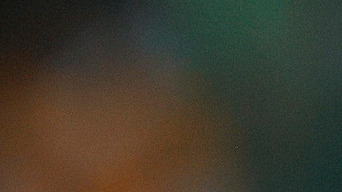 Diego Cocca solo pudo dirigir 5 partidos de Club Tigres