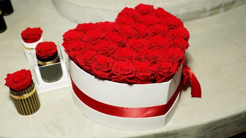 The Million Roses - Valentine's with The Million