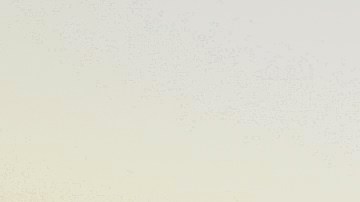 Se esperan poco más de 54,000 espectadores en Anfield.