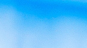 Los Gallos Blancos podrá finalmente volver a contar con la afición en las gradas del estadio.