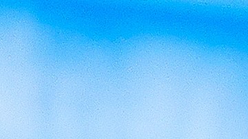 Los Gallos Blancos podrá finalmente volver a contar con la afición en las gradas del estadio.